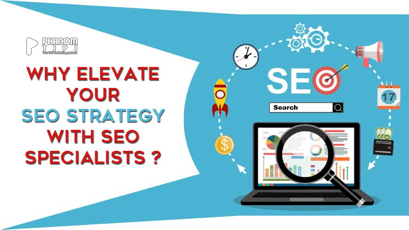 Why Elevate Your SEO Strategy With SEO Specialists?